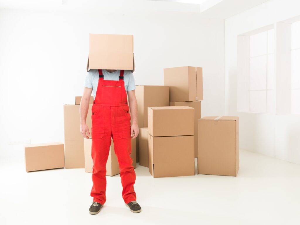 deliveryman at your service
